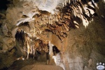 JenolanCaves_0314.jpg