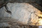 JenolanCaves_0414.jpg