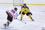 Sting v North Stars 21Apr