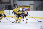 StingvNorthStars_21Apr_0155.jpg