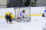 StingvNorthStars_21Apr_0376.jpg