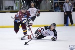 IceDogsvBears_5May_0193.jpg