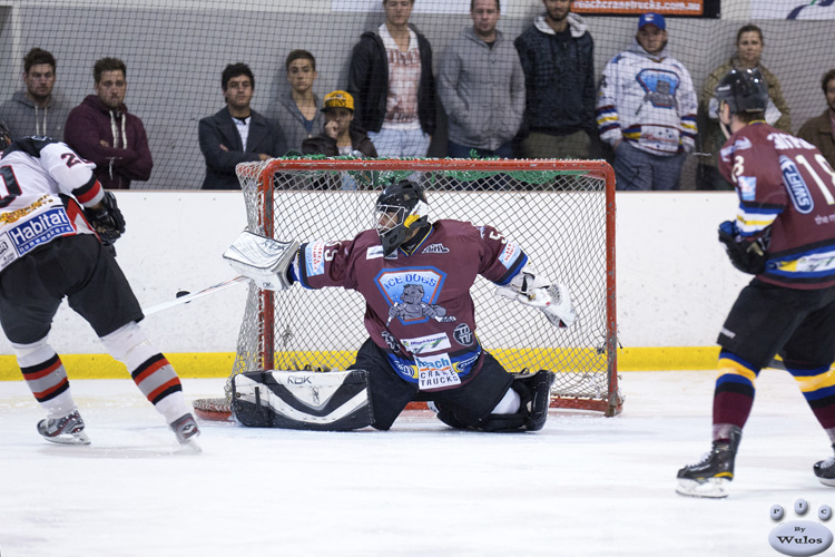 IceDogsvBears_5May_0268.jpg