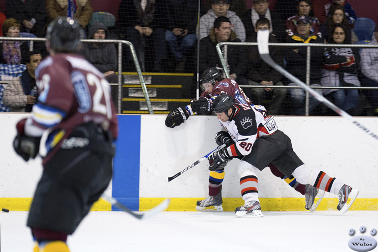 IceDogsvBears_5May_0548.jpg