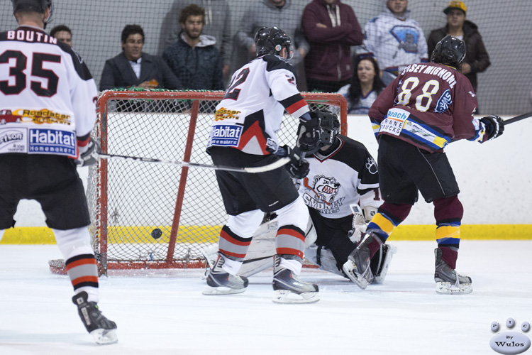 IceDogsvBears_5May_0653.jpg