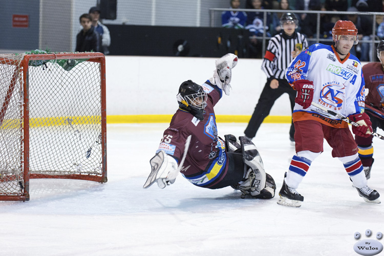 IceDogsvNorthStars_19May_0284.jpg