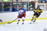 ECSL_NorthStarsvSting_15Jul_0359.jpg