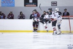 IceDogsvBears_21Jul_0231.jpg