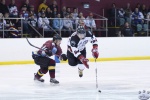 IceDogsvBears_21Jul_0235.jpg