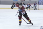 IceDogsvBears_21Jul_0027.jpg