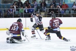 IceDogsvBears_21Jul_0276.jpg