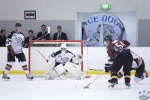 IceDogsvBears_21Jul_0382.jpg