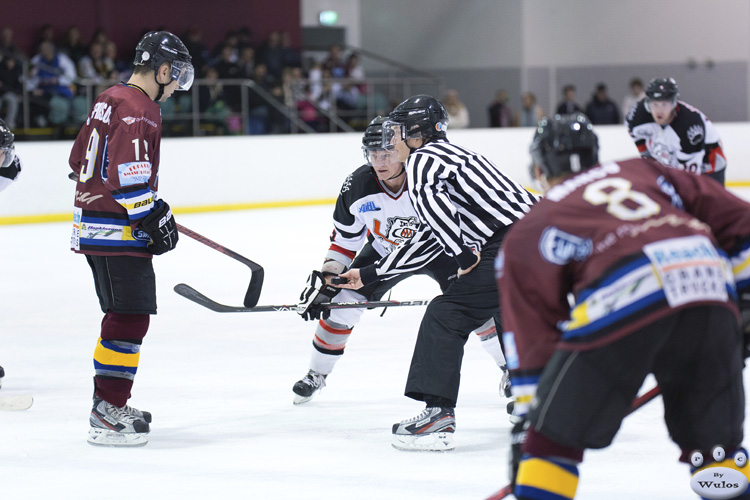 IceDogsvBears_21Jul_0395.jpg