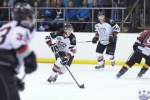 IceDogsvBears_21Jul_0652.jpg