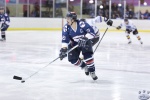 SF2_IcevIceDogs_1Sep_0272.jpg