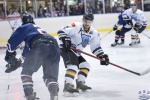 SF2_IcevIceDogs_1Sep_0273.jpg