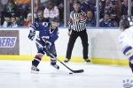 SF2_IcevIceDogs_1Sep_0364.jpg