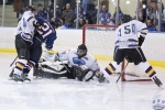 SF2_IcevIceDogs_1Sep_0445.jpg