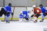 MapleLeafsvRedWings_1Dec_0213.jpg