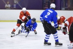 MapleLeafsvRedWings_1Dec_0282.jpg