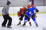 MapleLeafsvRedWings_1Dec_0016.jpg