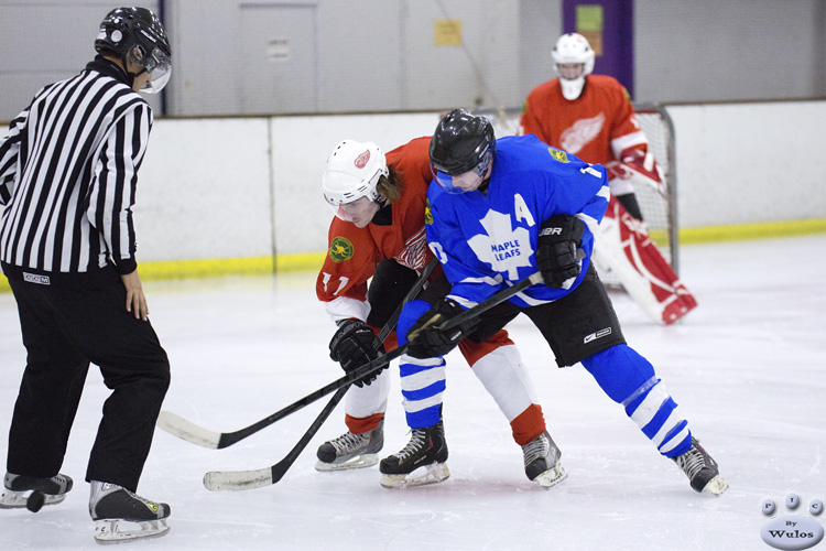 MapleLeafsvRedWings_1Dec_0017.jpg