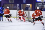 MapleLeafsvRedWings_1Dec_0206.jpg