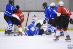 MapleLeafsvRedWings_1Dec_0218.jpg