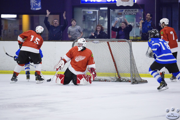 MapleLeafsvRedWings_1Dec_0252.jpg