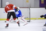 MapleLeafsvRedWings_1Dec_0266.jpg