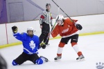 MapleLeafsvRedWings_1Dec_0274.jpg