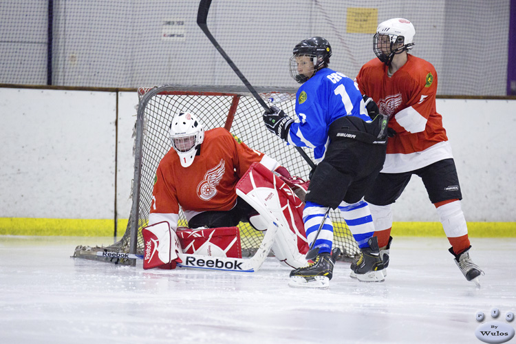 MapleLeafsvRedWings_1Dec_0331.jpg