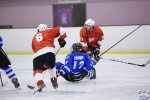 MapleLeafsvRedWings_1Dec_0436.jpg