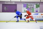 MapleLeafsvRedWings_16Feb_0116.jpg