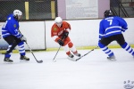 MapleLeafsvRedWings_16Feb_0132.jpg