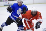 MapleLeafsvRedWings_16Feb_0205.jpg