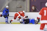 MapleLeafsvRedWings_16Feb_0282.jpg