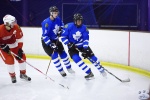 MapleLeafsvRedWings_16Feb_0374.jpg