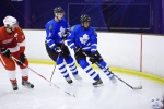 MapleLeafsvRedWings_16Feb_0374.jpg