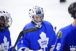 MapleLeafsvRedWings_16Feb_0469.jpg