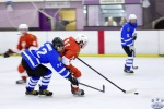 MapleLeafsvRedWings_16Feb_0125.jpg