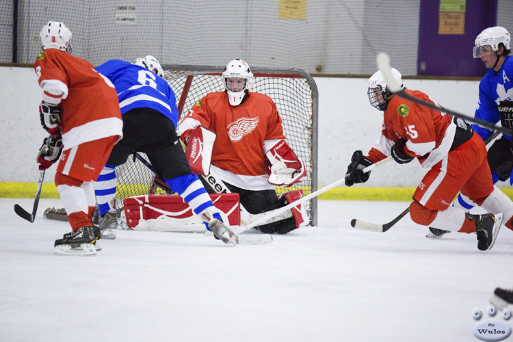 MapleLeafsvRedWings_16Feb_0184.jpg