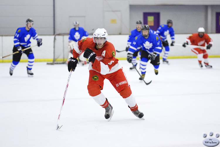 MapleLeafsvRedWings_16Feb_0268.jpg