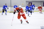 MapleLeafsvRedWings_16Feb_0268.jpg