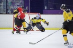 HeatvSting_6Apr_0257.jpg