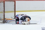 BearsvNorthStars_11May_0092.jpg