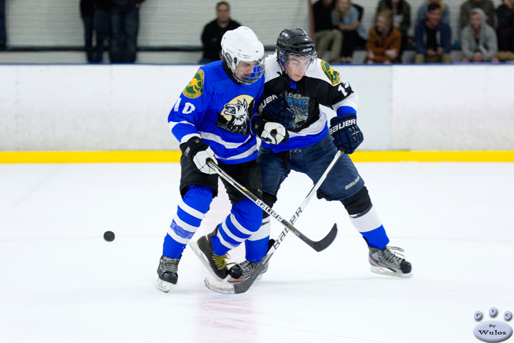 SabresvWolfPack_5Oct_0429.jpg