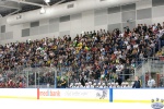 Game4_AUSvBEL_0505.jpg