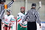 Game5_SRBvMEX_0378.jpg