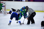 SabresvWhalers_8Feb_0064